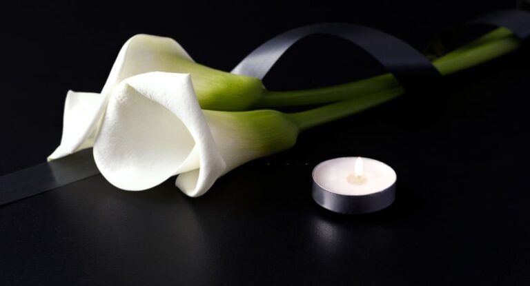 034996cbf406a02a966cc61ad2ffd5aa