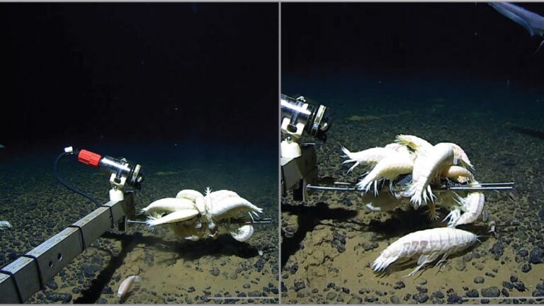 29fc18bee416257e6132fb018e8551aa