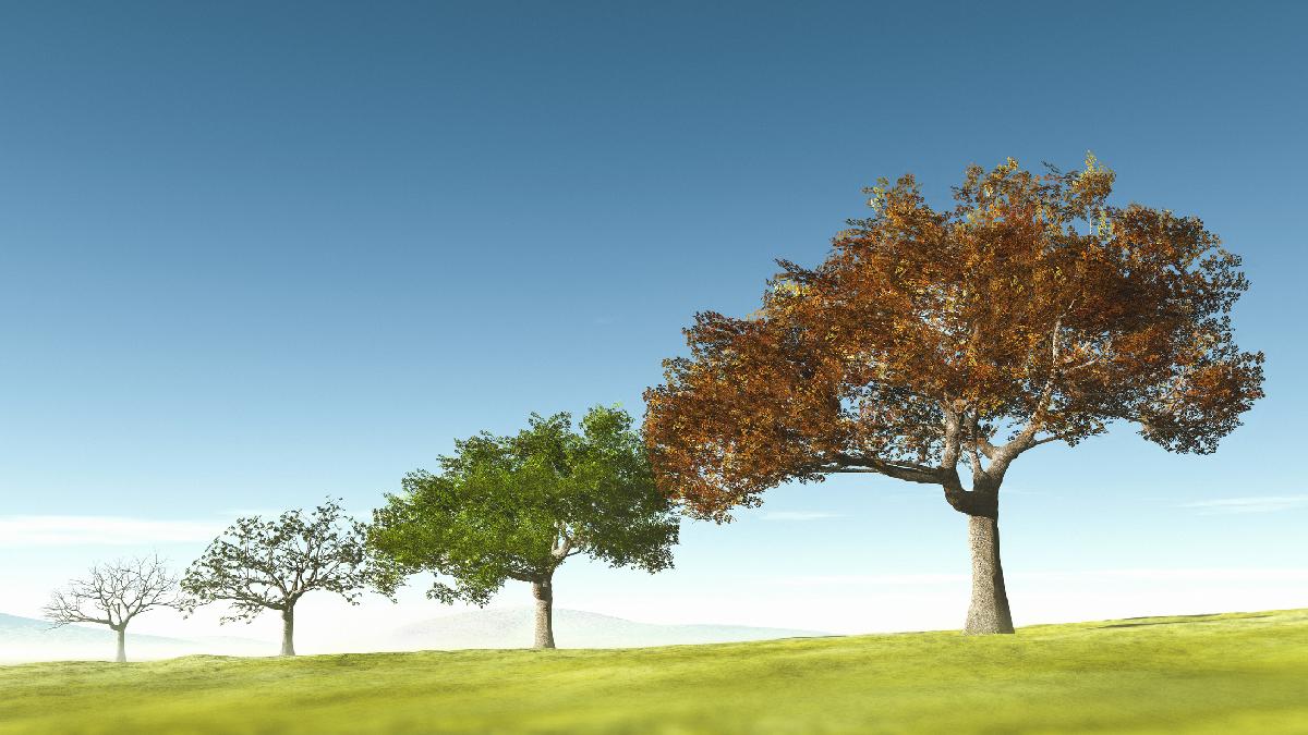 3d3c5b18f8a463fe184761cda8cf9c53