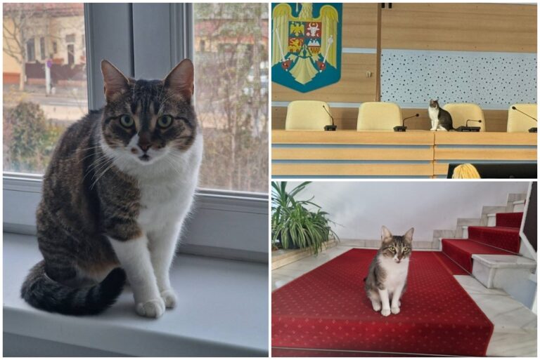 5c04ce8630d1f45bad9893b1993b5839