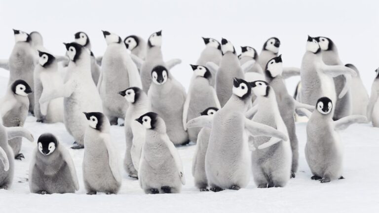 61c878f762fbbe99d71bc94954e1f39a