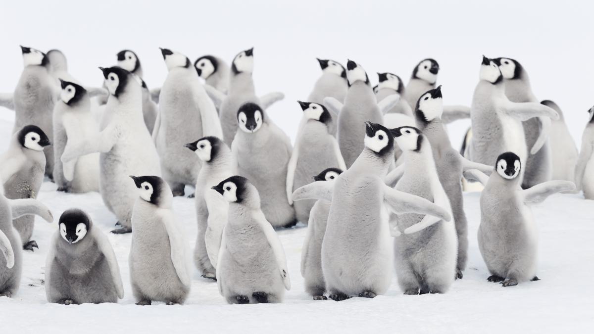 61c878f762fbbe99d71bc94954e1f39a