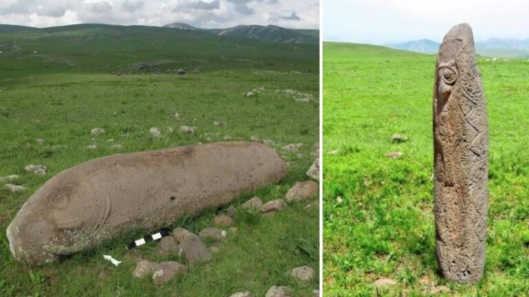 8eda6de81bcf440e1dd43534e32b41dc