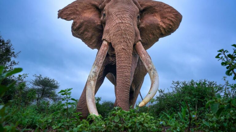 034e339d28bdc15c311f8a1b0fa4f8b8