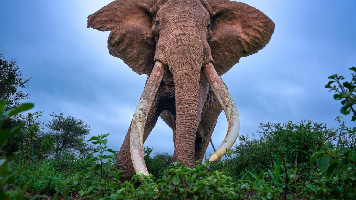 034e339d28bdc15c311f8a1b0fa4f8b8