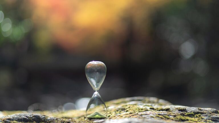 11c5ca686311959142478886095b7b7e