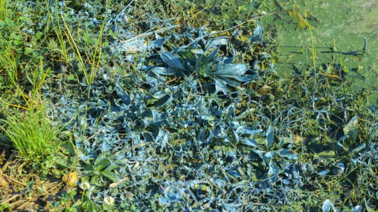 1babfe56a67fceca7c8f5c908bf7f36f