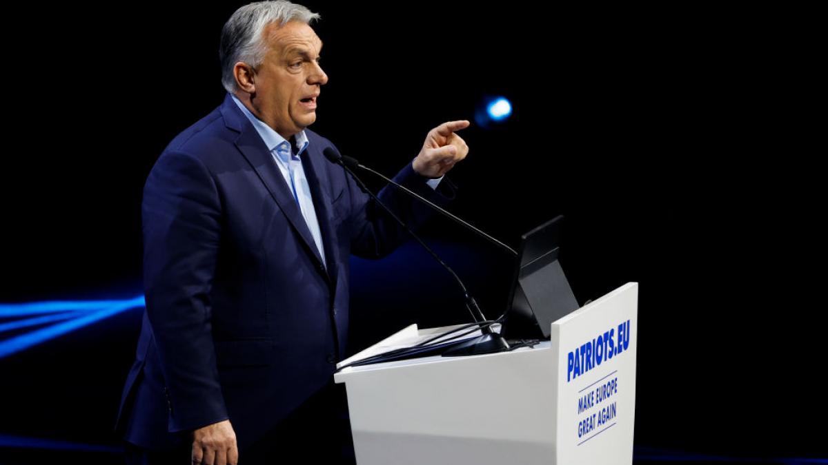 2f6ff527076bc46246d4cc5fdb8eed77