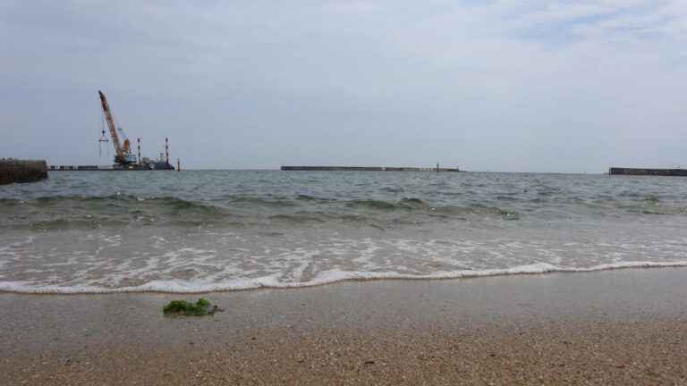 48305045698683c477dec37b11a590b7