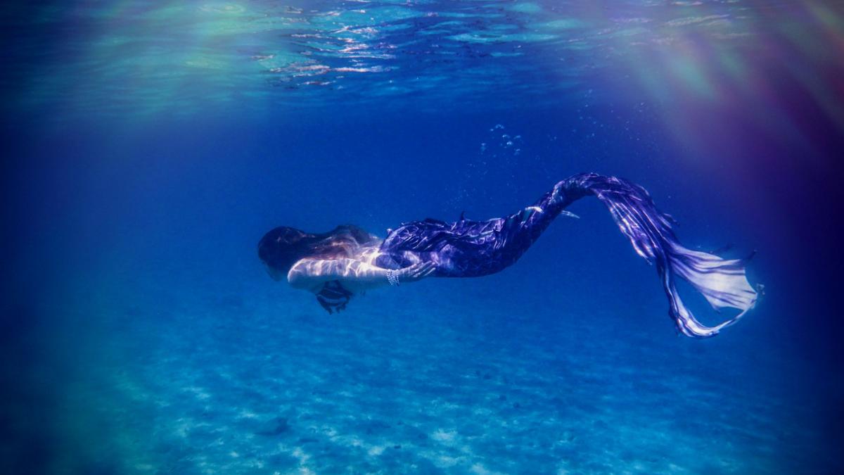 49fc19ccb071d6cbab7a146cf56bb6fa