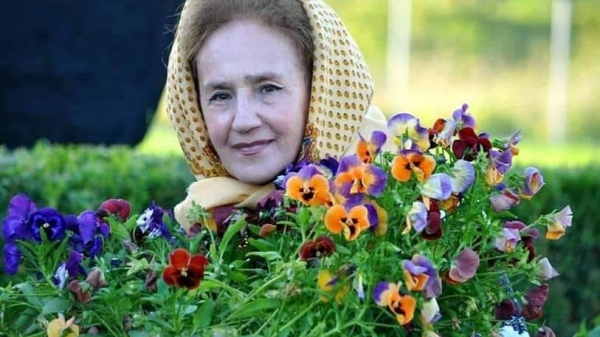 4acc6a3621c716f9f64796792a913164