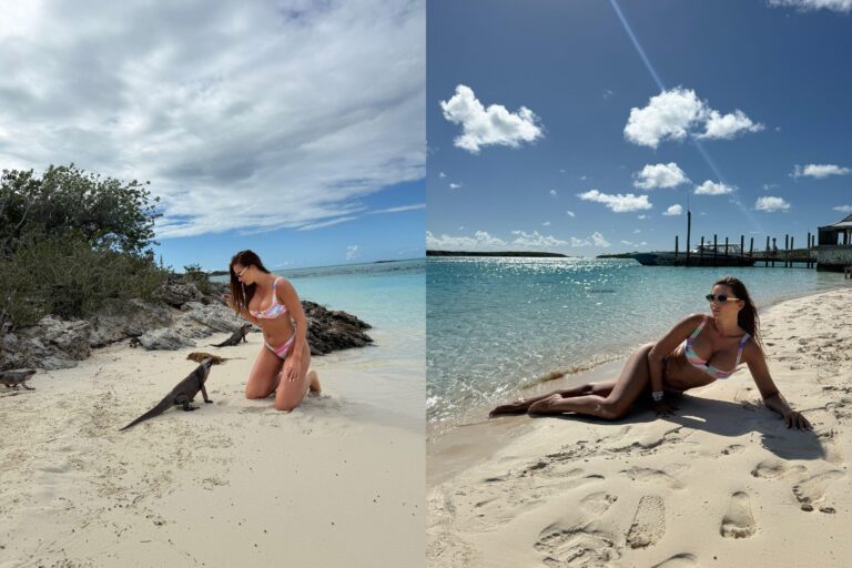 55820a6e79de23261f0886ca7235fafe