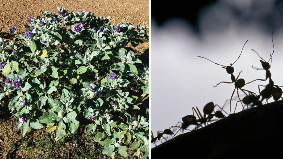 661f52b660f04c0db8310206af306696