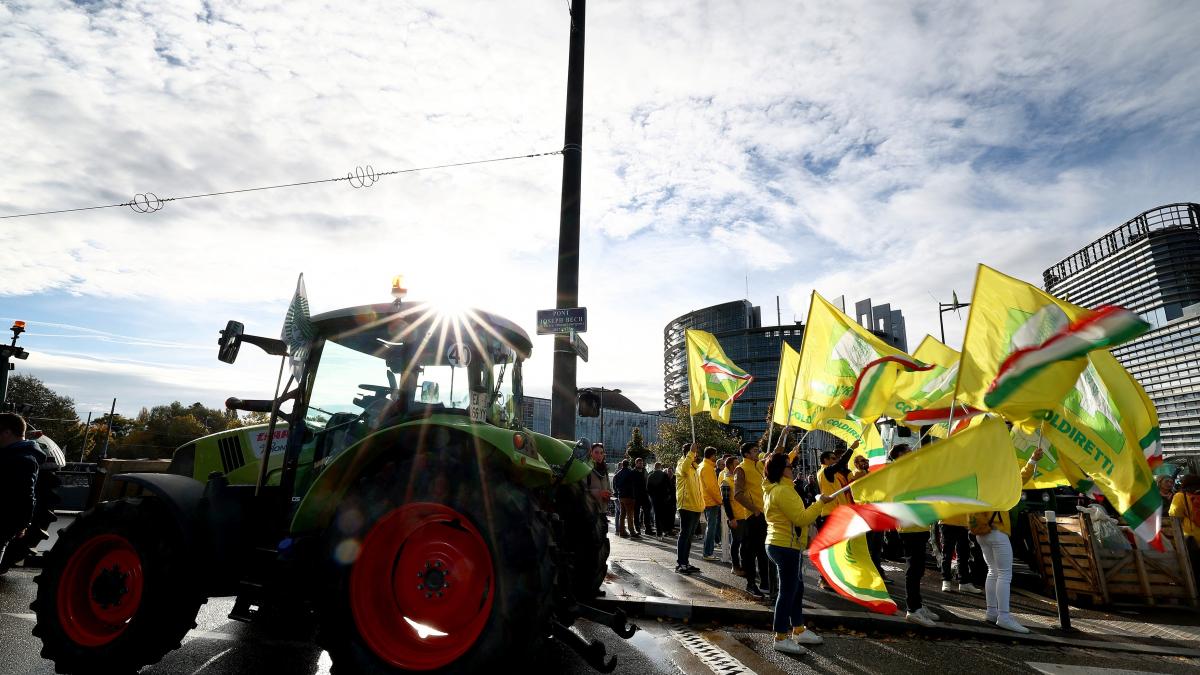 7135cc6cf6acab5c29be74e7bc2e78f3