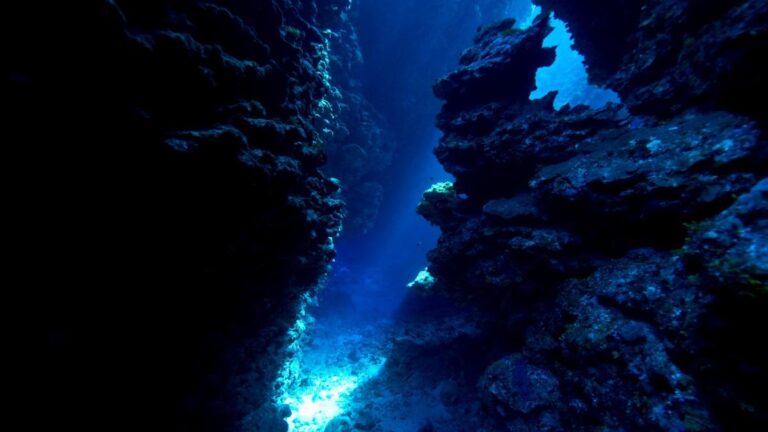 8e1e34434047f14e21761893a02a7ecf