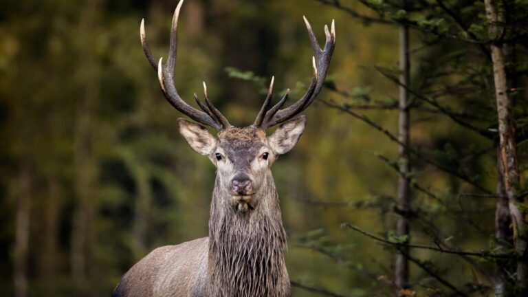 9fffbd66cfc3fcbba5433b225c5d6a86