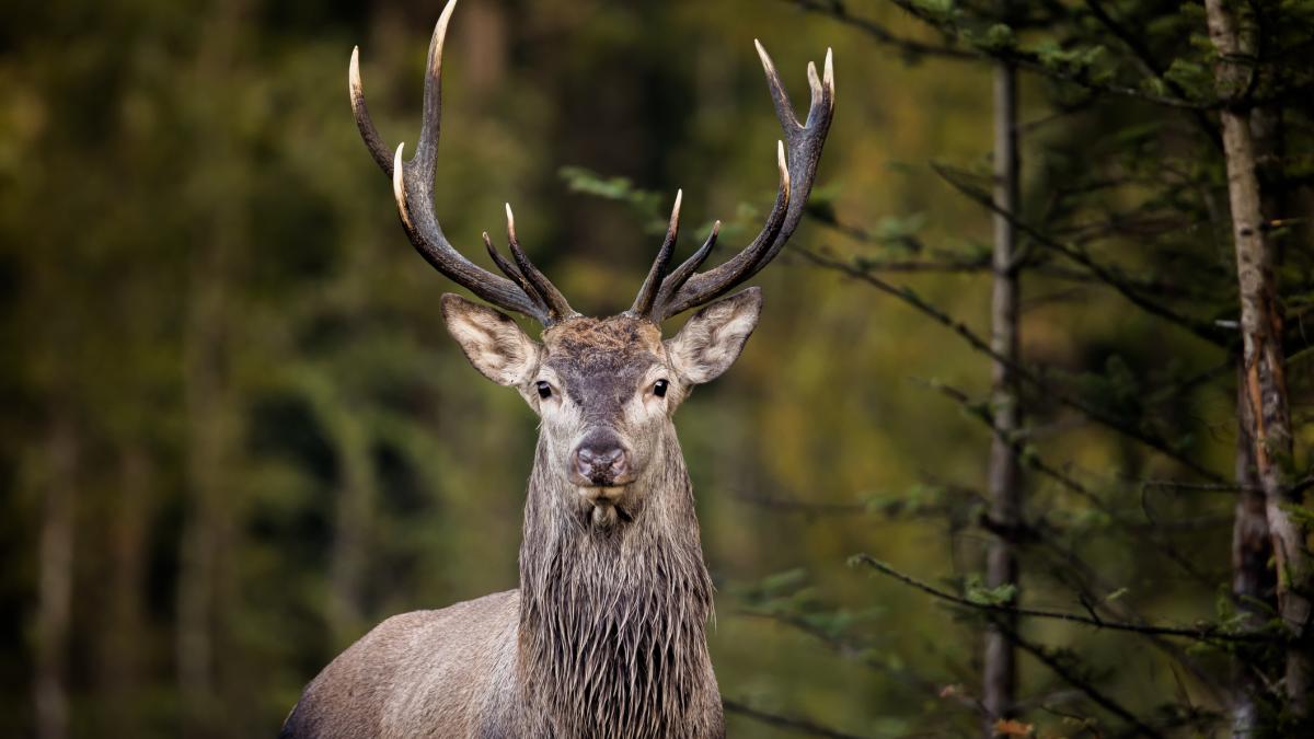 9fffbd66cfc3fcbba5433b225c5d6a86