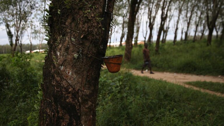 ad60c2bc5b90e2029884a2f082972a63