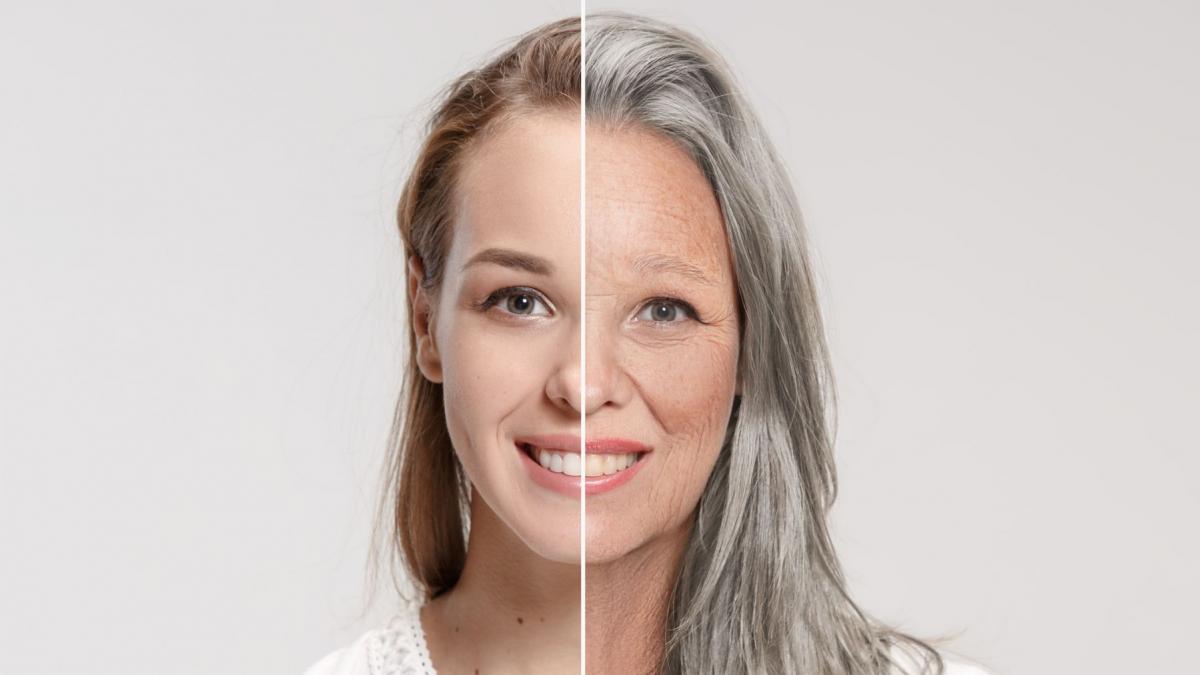 c23e7f74cf64a35932aba81e70c57b91