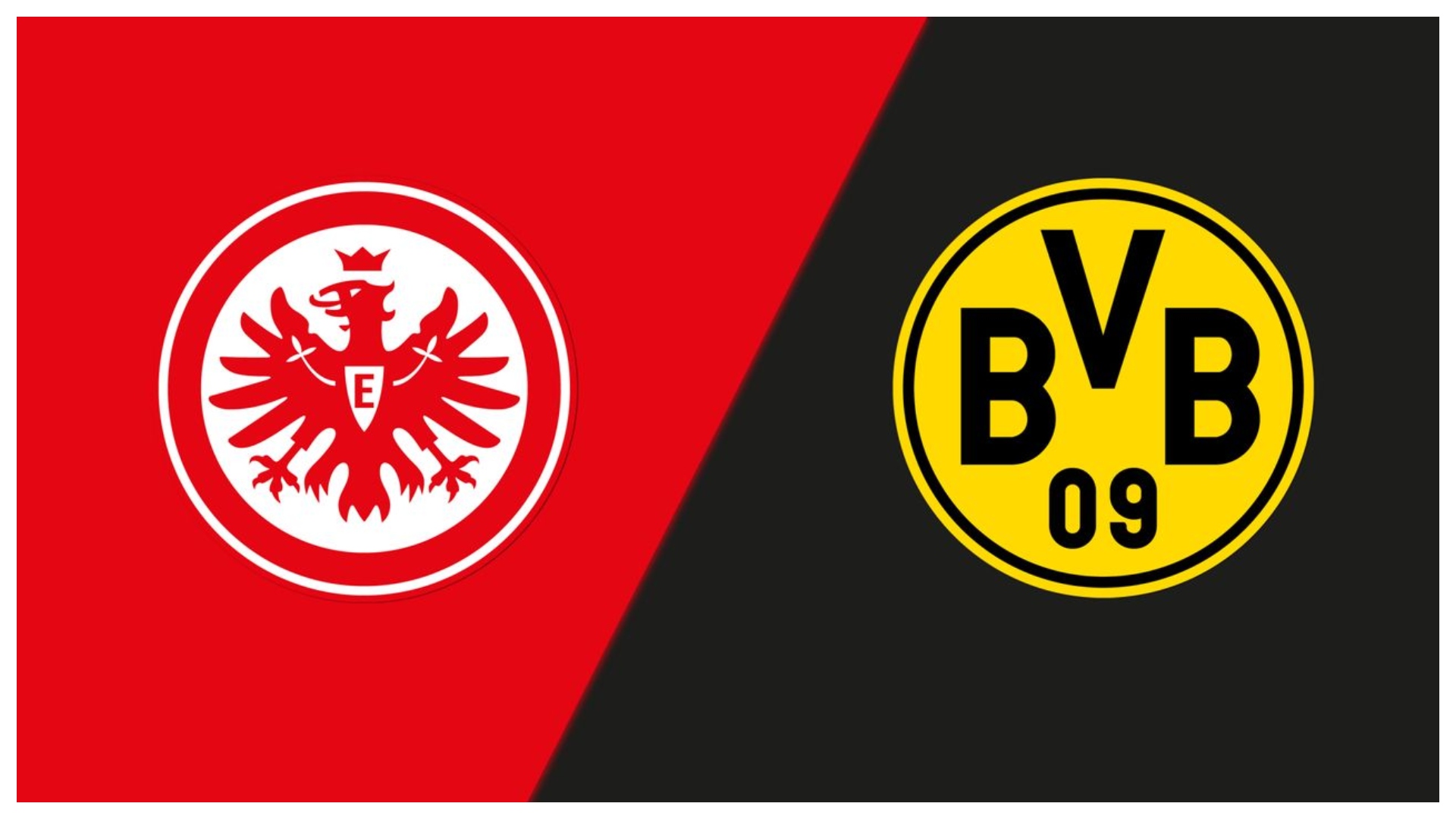 dd965847a7f7662f99d9e7ddafc39fb8